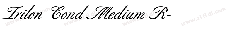 Trilon Cond Medium R字体转换